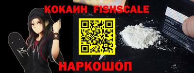 тгк Камышлов