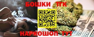 тгк Камышлов